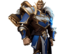 Paladin row bg.png